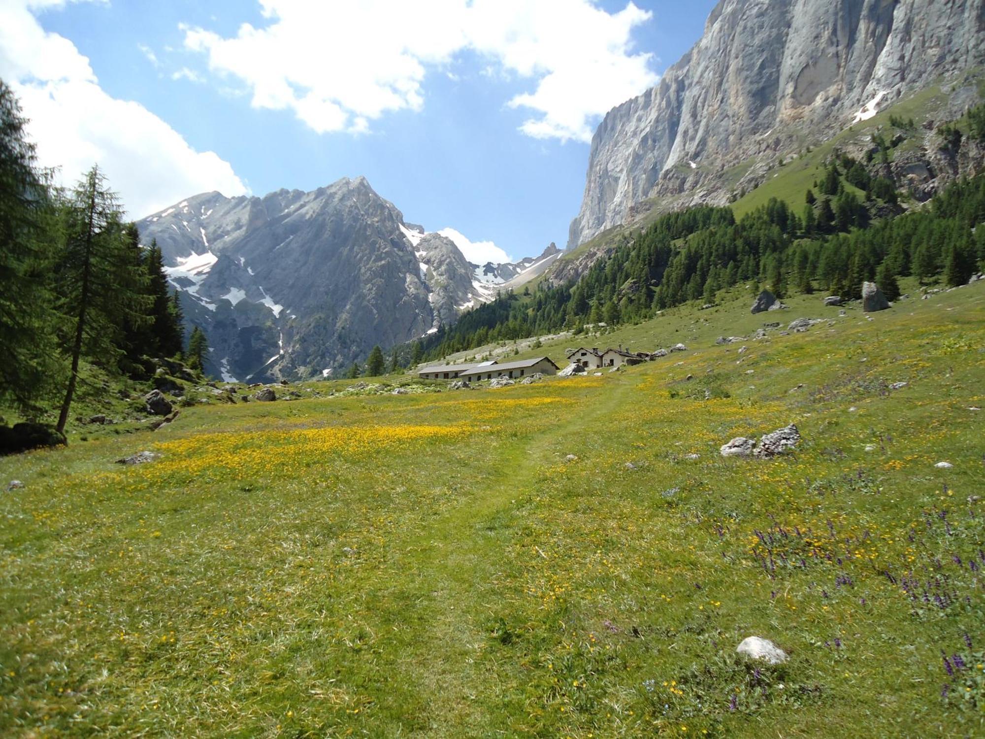 Hotel Pensione Dolomiti Фалькаде Экстерьер фото